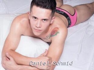 Daniel_Schmid