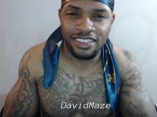 David_Maze
