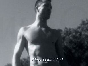Davidmodel