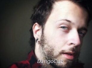 DingoCub