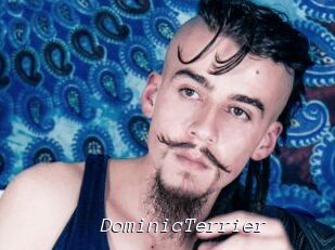 DominicTerrier