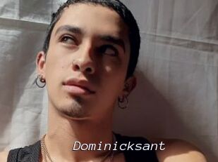 Dominicksant