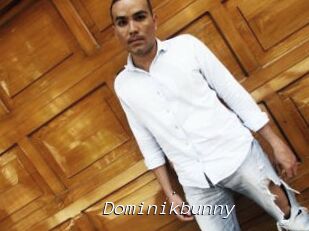 Dominikbunny