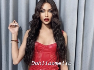 Dahliaamelia