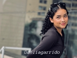 Dahliagarrido