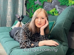 Daisyblooming