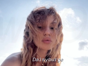 Daisyburge