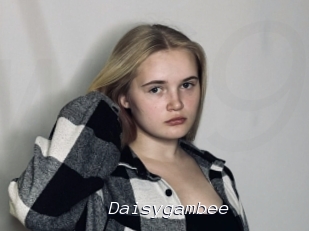 Daisygambee