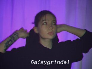 Daisygrindel