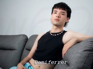 Damiferrer