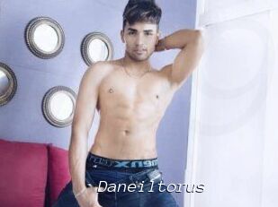 Daneil_torus