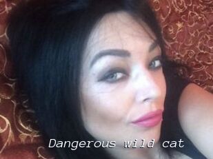 Dangerous_wild_cat