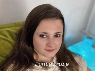 Dantelmure