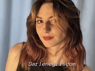 Darlenegriscom