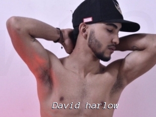 David_harlow