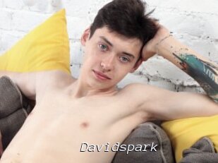 Davidspark