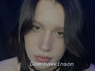 Dawnhawkinson