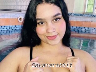 Dayanarabbit