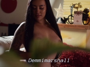 Demmimarshall