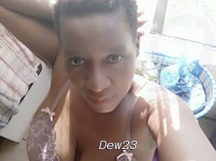 Dew23