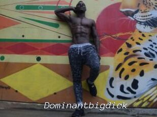 Dominantbigdick