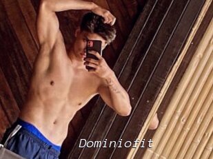 Dominiofit