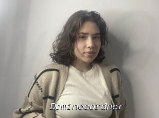 Dominocordner
