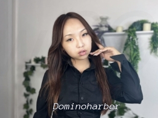 Dominoharber
