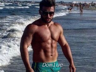 Domluc