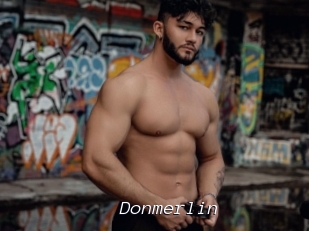 Donmerlin