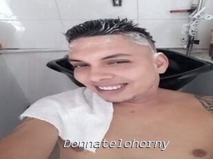 Donnatelohorny
