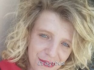 Dragibus