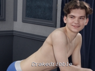 Drakedribble