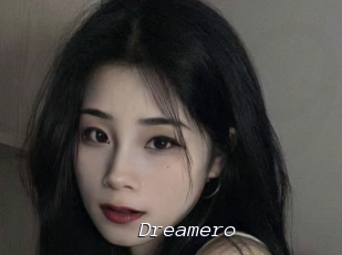 Dreamero