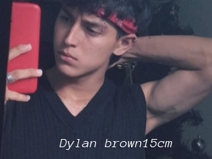 Dylan_brown15cm