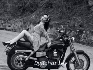 Dynaharley