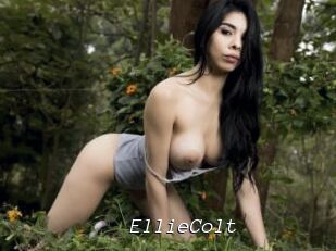 EllieColt