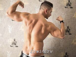 ErwinErv
