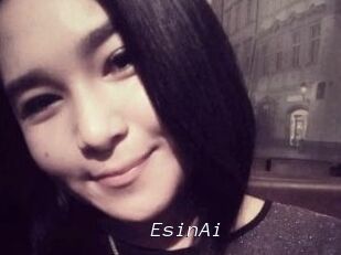 EsinAi