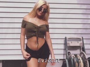 EvieCat