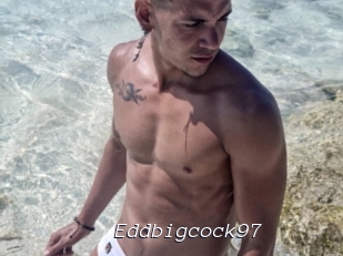 Eddbigcock97