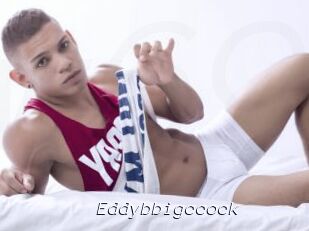 Eddybbigccock