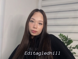 Editagledhill