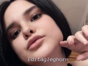 Editagleghorn