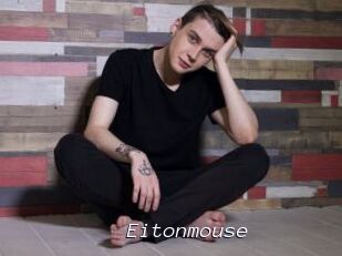 Eitonmouse