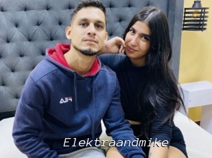 Elektraandmike