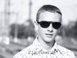 Elephant25