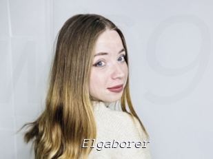 Elgaborer