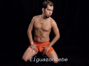 Elguazonbebe