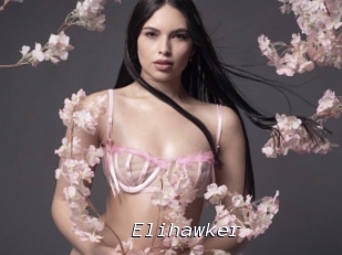 Elihawker